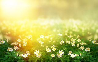  Terrain � vendre 2050 m�