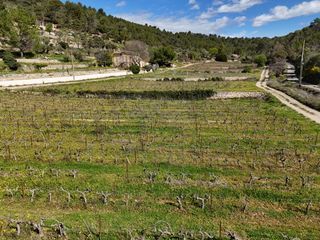  Terrain � vendre 1260 m�