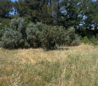  Maison 5 pi�ces 140 m� Aubagne