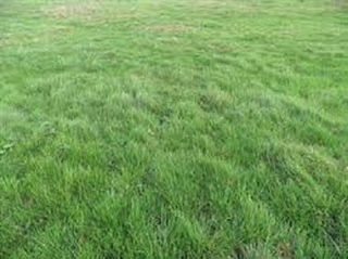  Terrain � vendre 601 m�