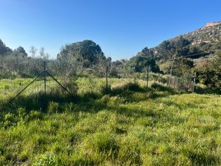  Terrain � vendre 202 m�