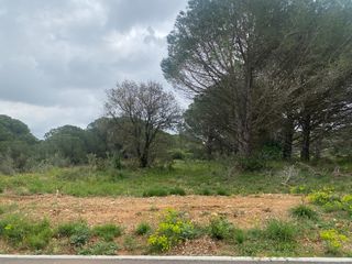  Terrain � vendre 647 m�