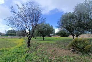  Maison � vendre 5 pi�ces 118 m�