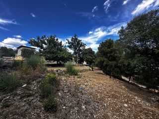  Terrain 1589 m� Lorgues