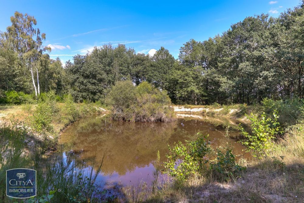 � vendre  Maison Ambillou (37340)