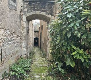  Maison � vendre 15 + pi�ces 395 m�