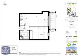  Appartement � vendre 2 pi�ces 50 m�