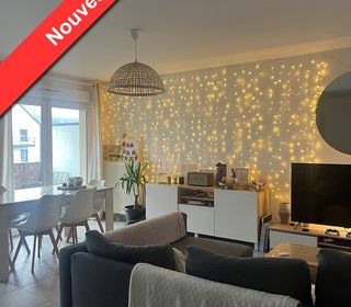  Appartement � vendre 2 pi�ces 46 m�