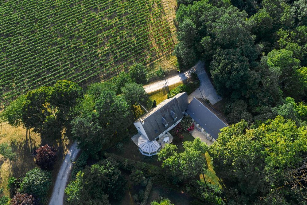 � vendre  Maison Rochecorbon (37210)