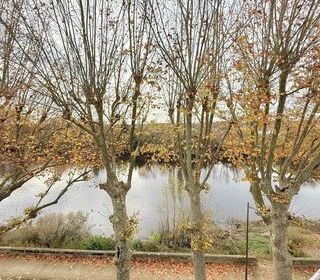  Appartement � vendre 4 pi�ces 61 m�