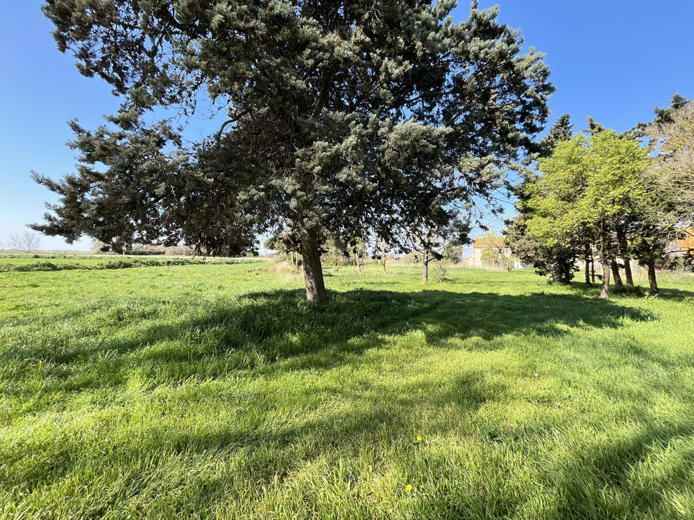 � vendre  Maison Arles (13200)