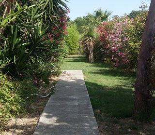  Appartement � vendre 2 pi�ces 37 m�