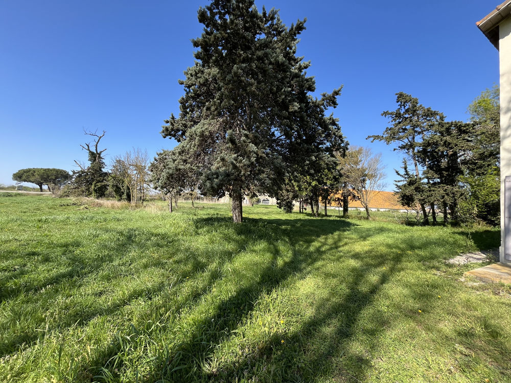 � vendre  Maison Arles (13200)