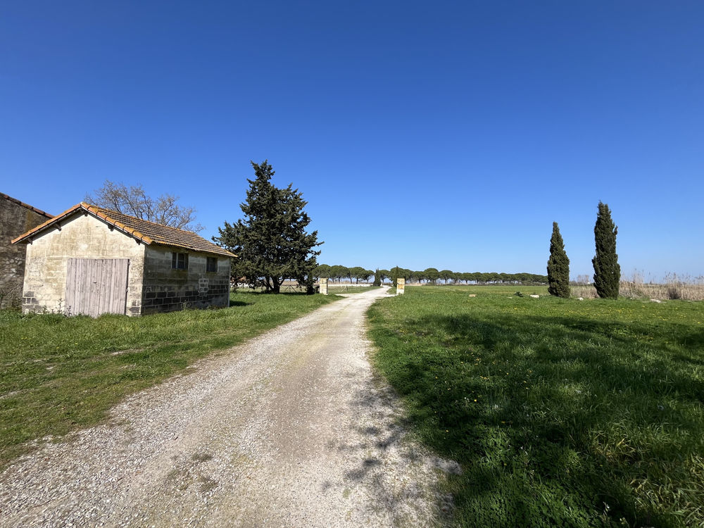 � vendre  Maison Arles (13200)