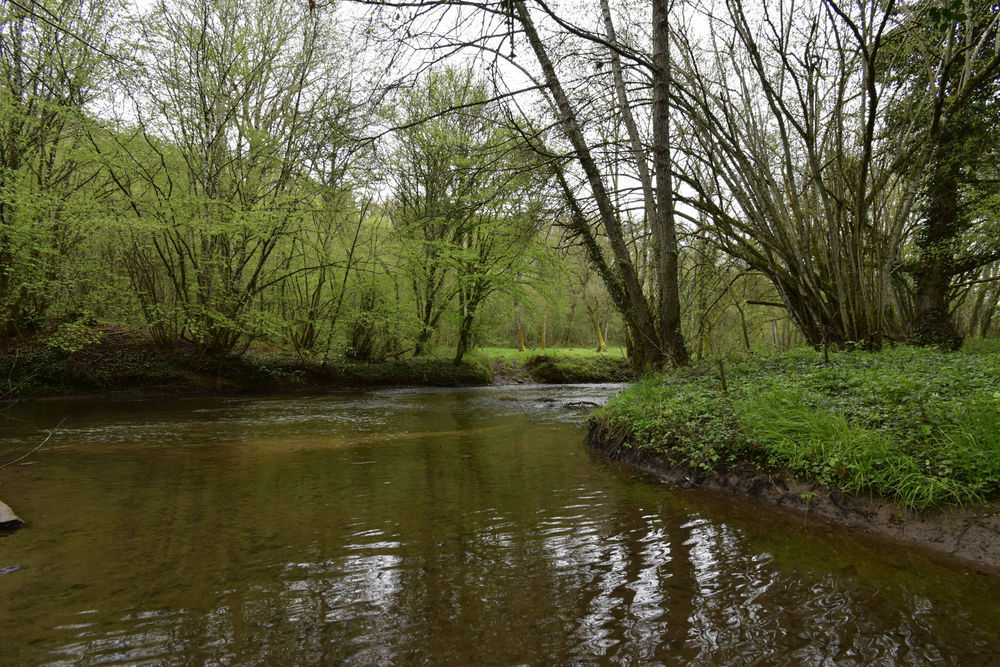 � vendre  Maison Beaune (21200)