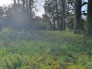  Terrain � vendre 1187 m�