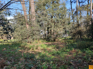  Terrain � vendre 1187 m�