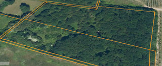  Terrain � vendre 31301 m�