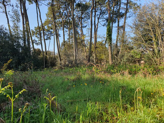  Terrain � vendre 1187 m�