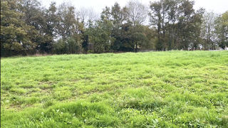  Terrain � vendre 2994 m�