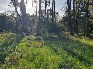  Terrain � vendre 1187 m�