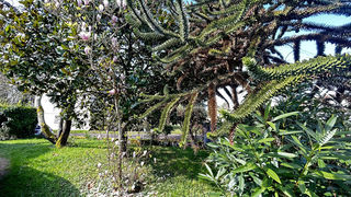  Maison � vendre 7 pi�ces 236 m�