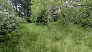  Terrain � vendre 766 m�