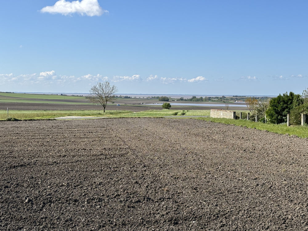 � vendre  Maison Arces (17120)