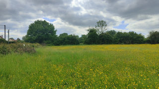  Terrain � vendre 1000 m�