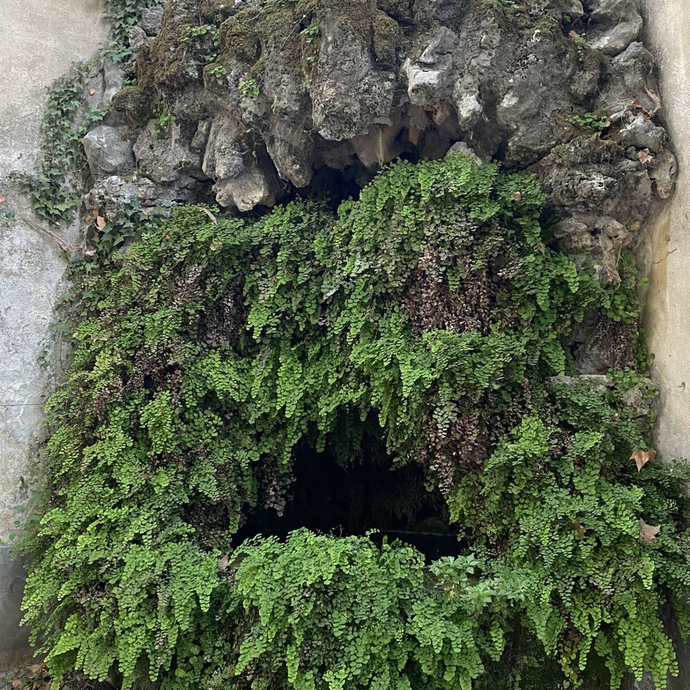 � vendre  Propri�t�/ch�teau Boll�ne (84500)