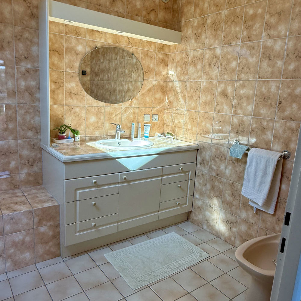 � vendre  Propri�t�/ch�teau Bron (69500)