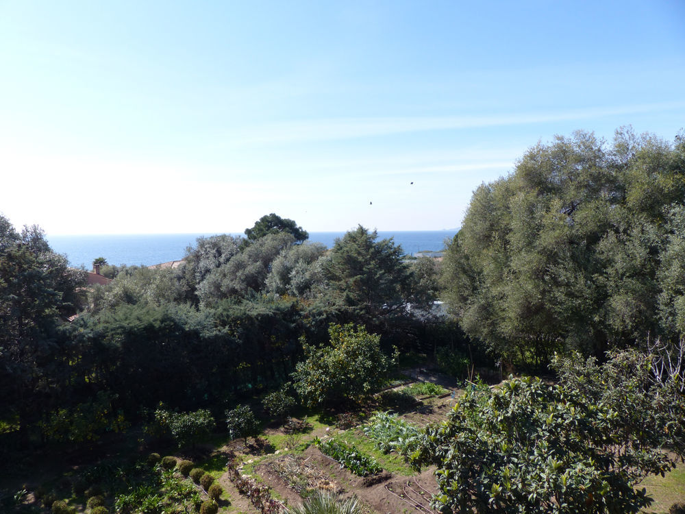 � vendre  Maison Ajaccio (20000)