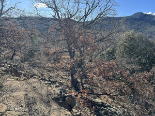  Terrain � vendre 1883 m�