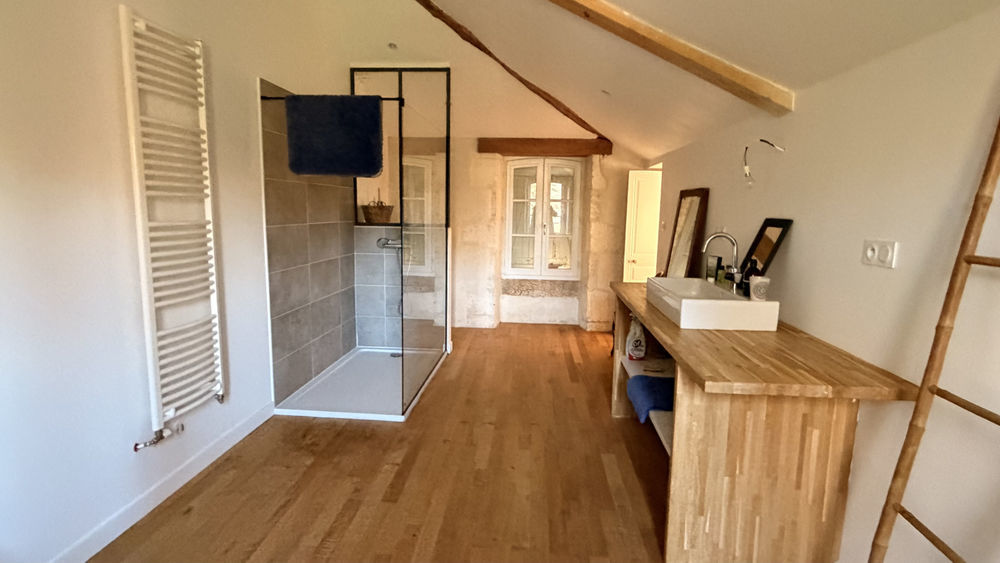 � vendre  Propri�t�/ch�teau Saint-Jean-d'Ang�ly (17400)