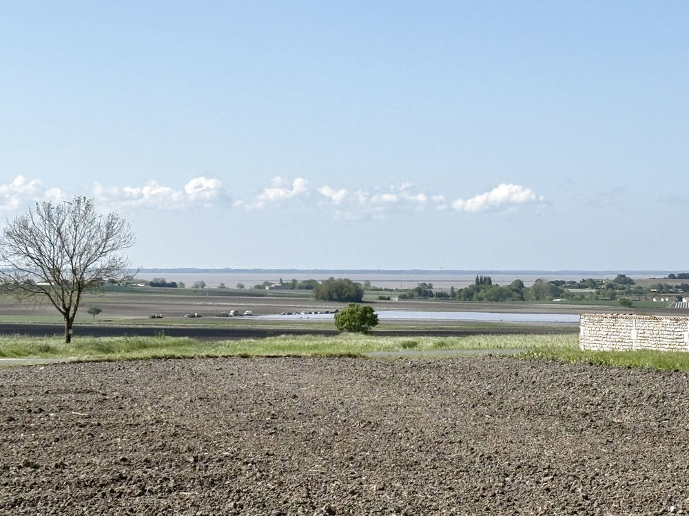 � vendre  Maison Arces (17120)