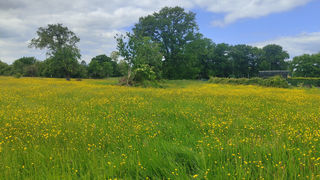  Terrain � vendre 1000 m�