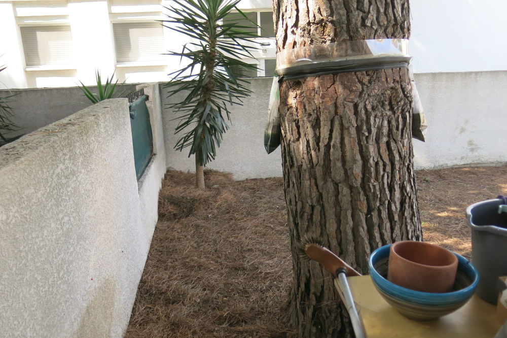 � vendre  Maison Le Grau-du-Roi (30240)