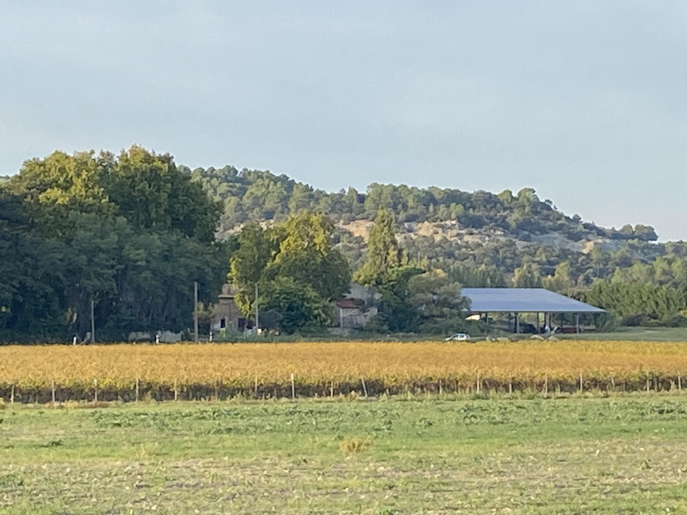 � vendre  Propri�t�/ch�teau Boll�ne (84500)