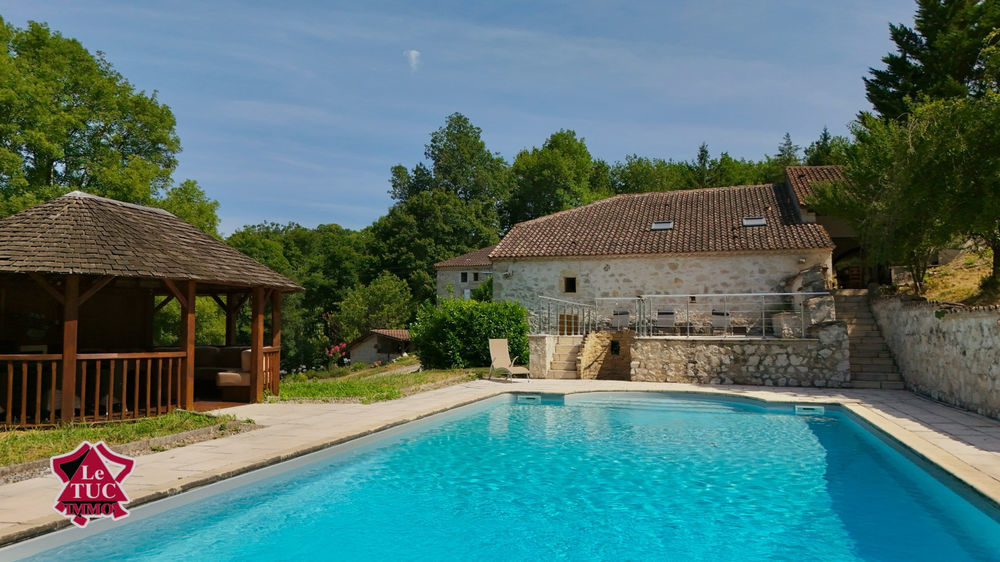 � vendre  Propri�t�/ch�teau Dondas (47470)