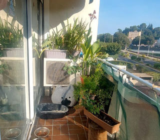  Appartement � vendre 5 pi�ces 96 m�