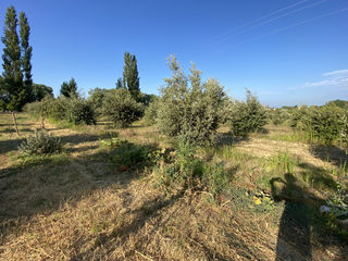  Terrain � vendre 6500 m�