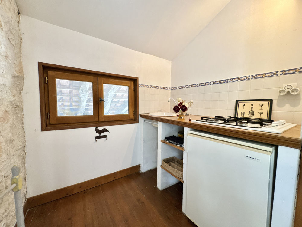 � vendre  Propri�t�/ch�teau Dondas (47470)