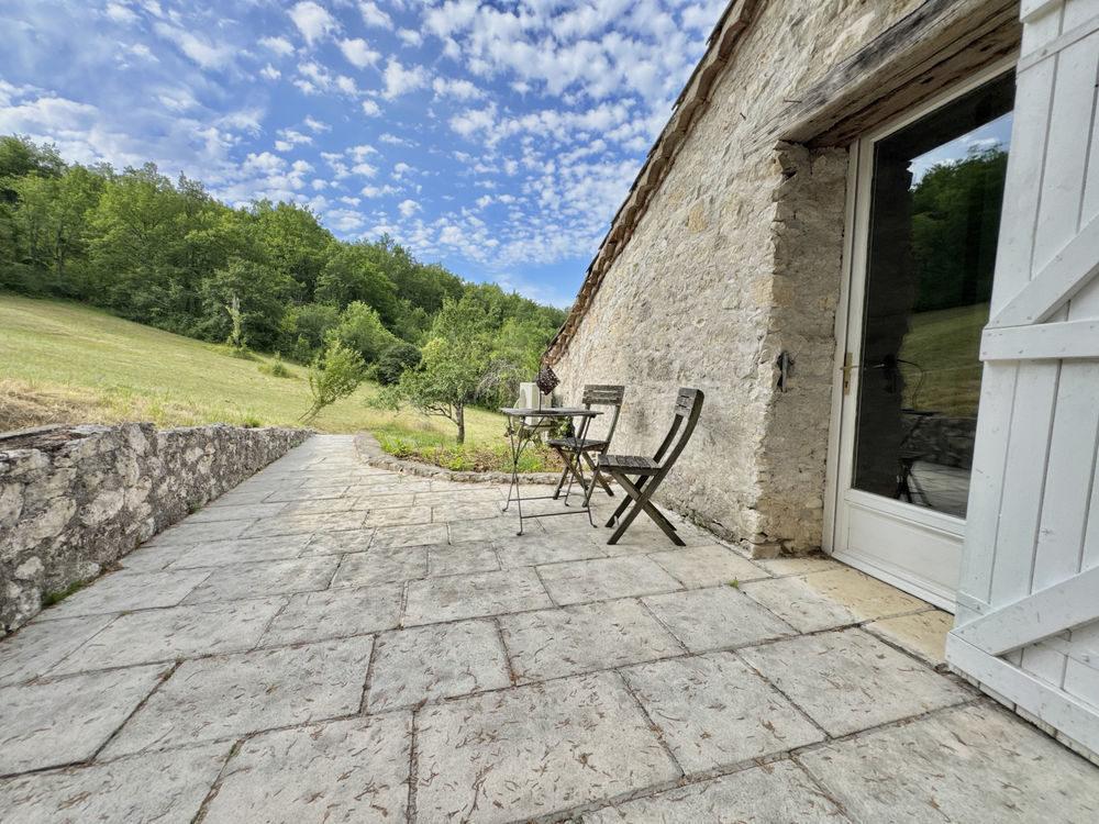 � vendre  Propri�t�/ch�teau Dondas (47470)