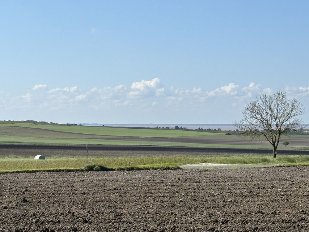 � vendre  Maison Arces (17120)