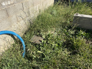  Terrain � vendre 923 m�