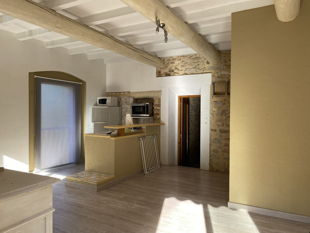 � vendre  Propri�t�/ch�teau Boll�ne (84500)