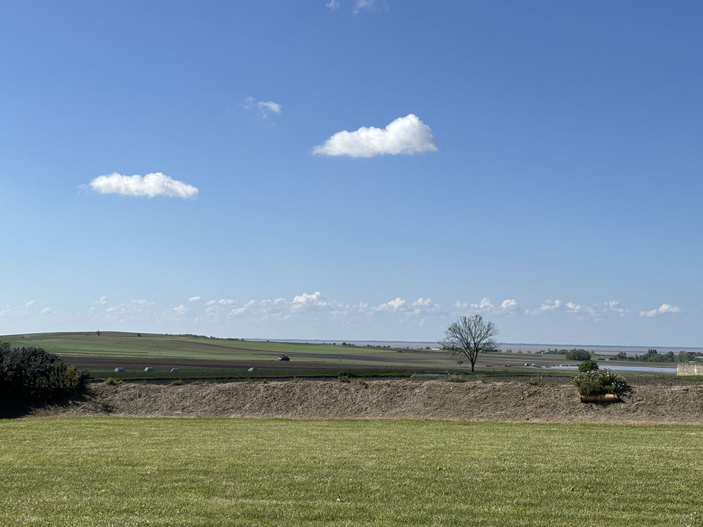 � vendre  Maison Arces (17120)