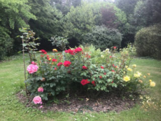  Appartement � vendre 3 pi�ces 66 m�