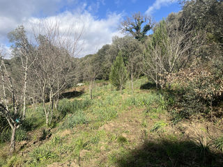  Maison � vendre 3 pi�ces 60 m�