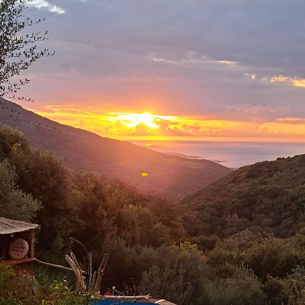 � vendre  Maison Santa-Maria-Figaniella (20143)